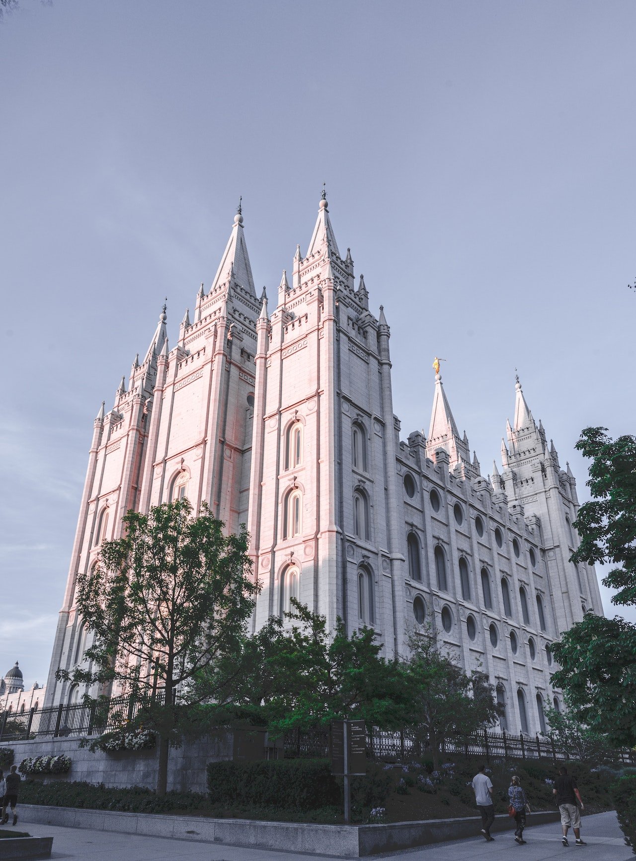 pexels-brett-sayles-2384577